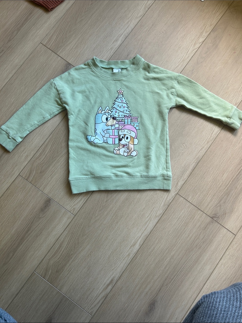 Dear Aspen bluey Sweatshirt - Light Green